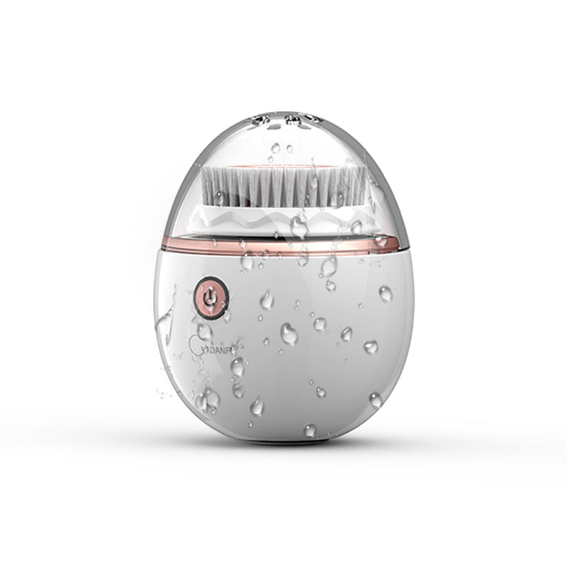 Facial Cleansing Brush
