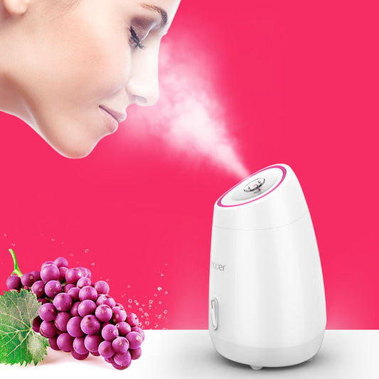 Nano Ionic Face Steamer for Deep Hydration and Detox