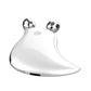  Roller Facial Massage Instrument